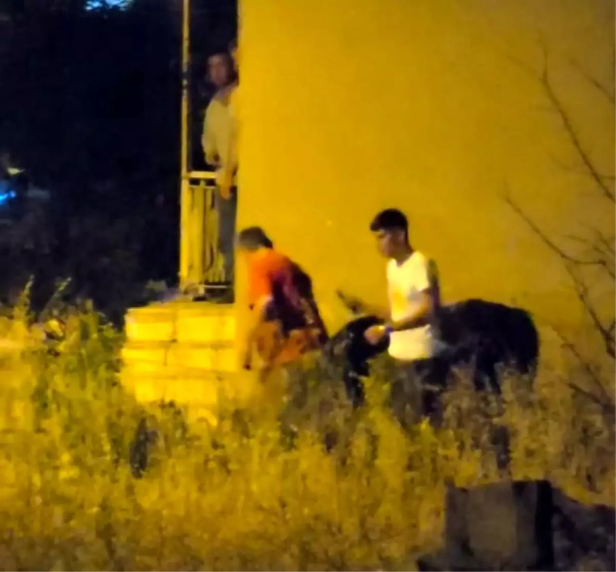 Seydişehir'de Kaçan Boğa Trafiği Karıştırdı