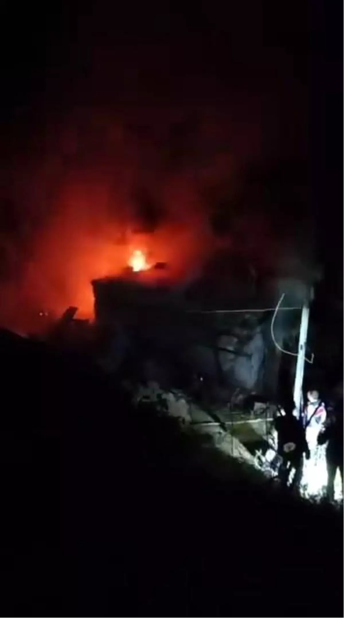 Bingöl'de Orman Yangını Bir Evi Tehdit Etti