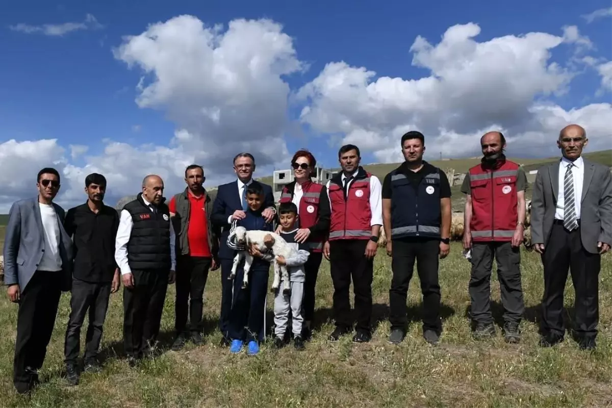 Van'da Koyunculuk Projesi ile Çiftçilere Destek
