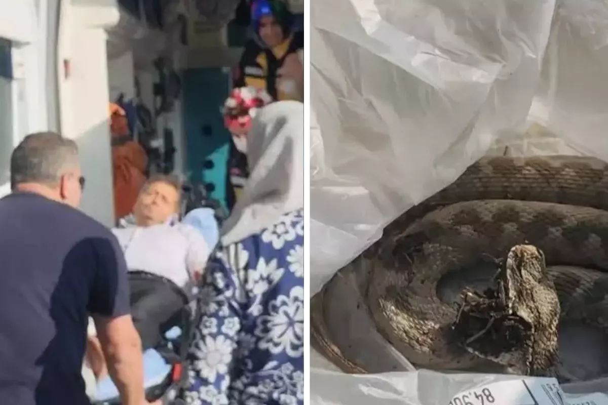 Bayram pikniğinde engerek yılanı ısırdı!