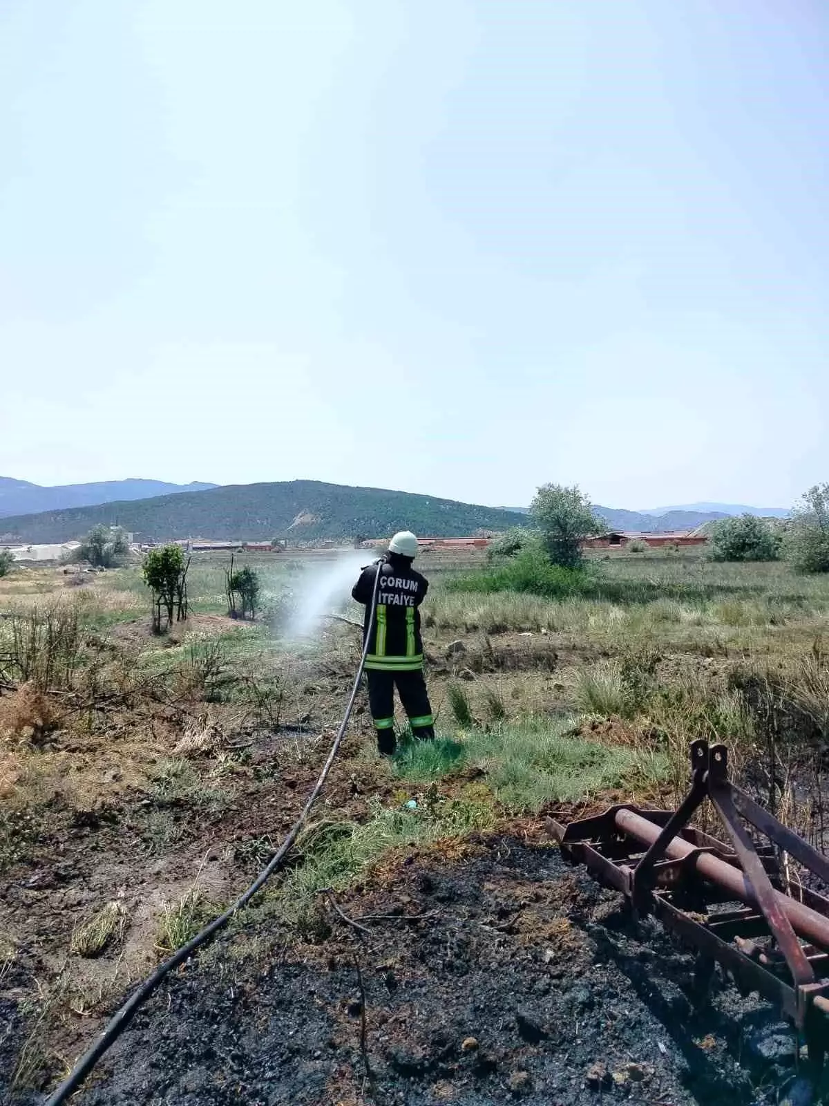 Osmancık'ta Tarlada Yangın, İtfaiye Hızlıca Müdahalede Bulundu