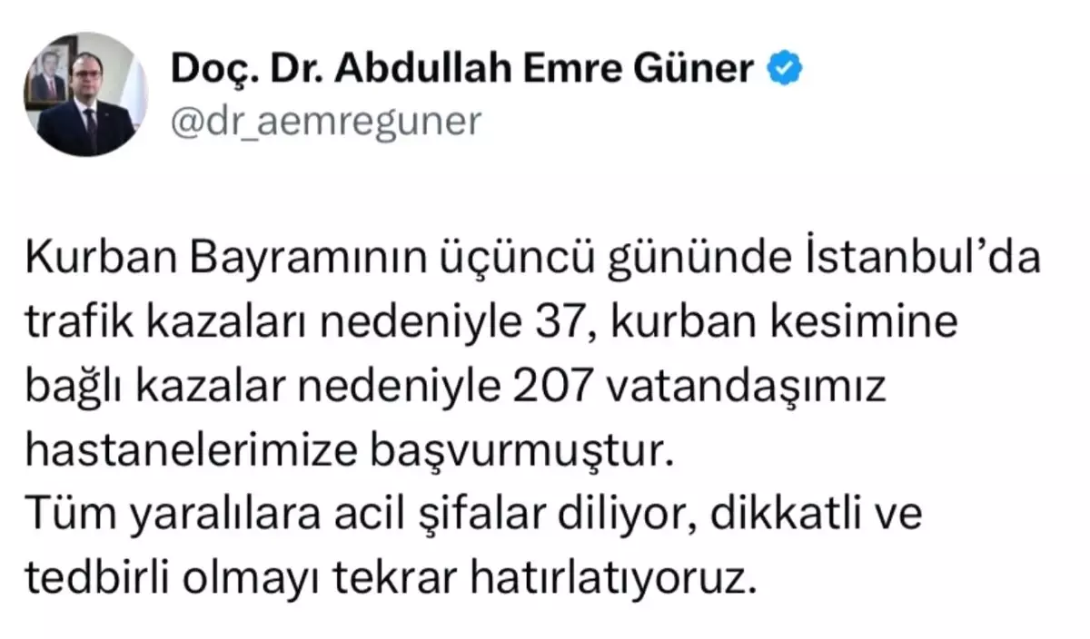 Kurban Bayramı'nda İstanbul'da 244 Hastane Başvurusu