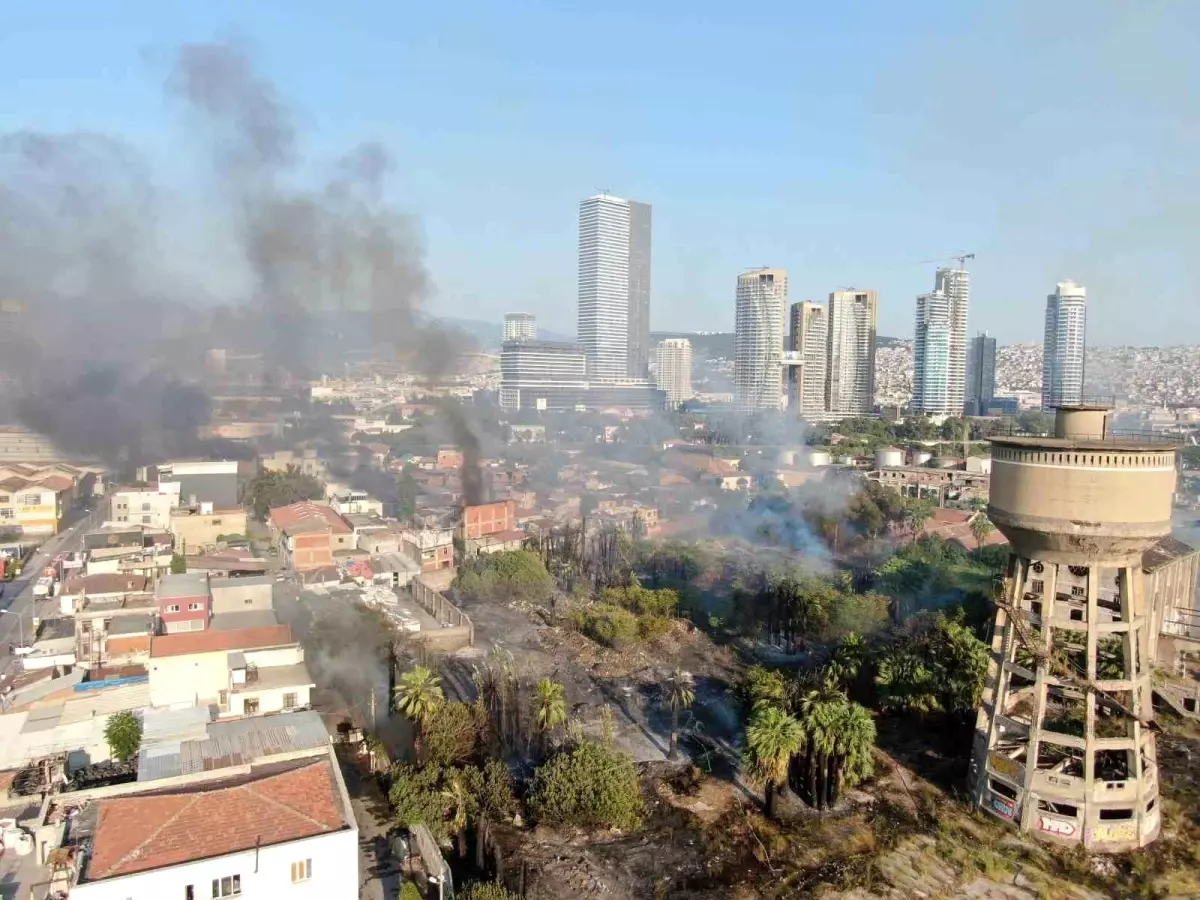 İzmir'de Boş Arazide Çıkan Yangın Kontrol Altına Alındı