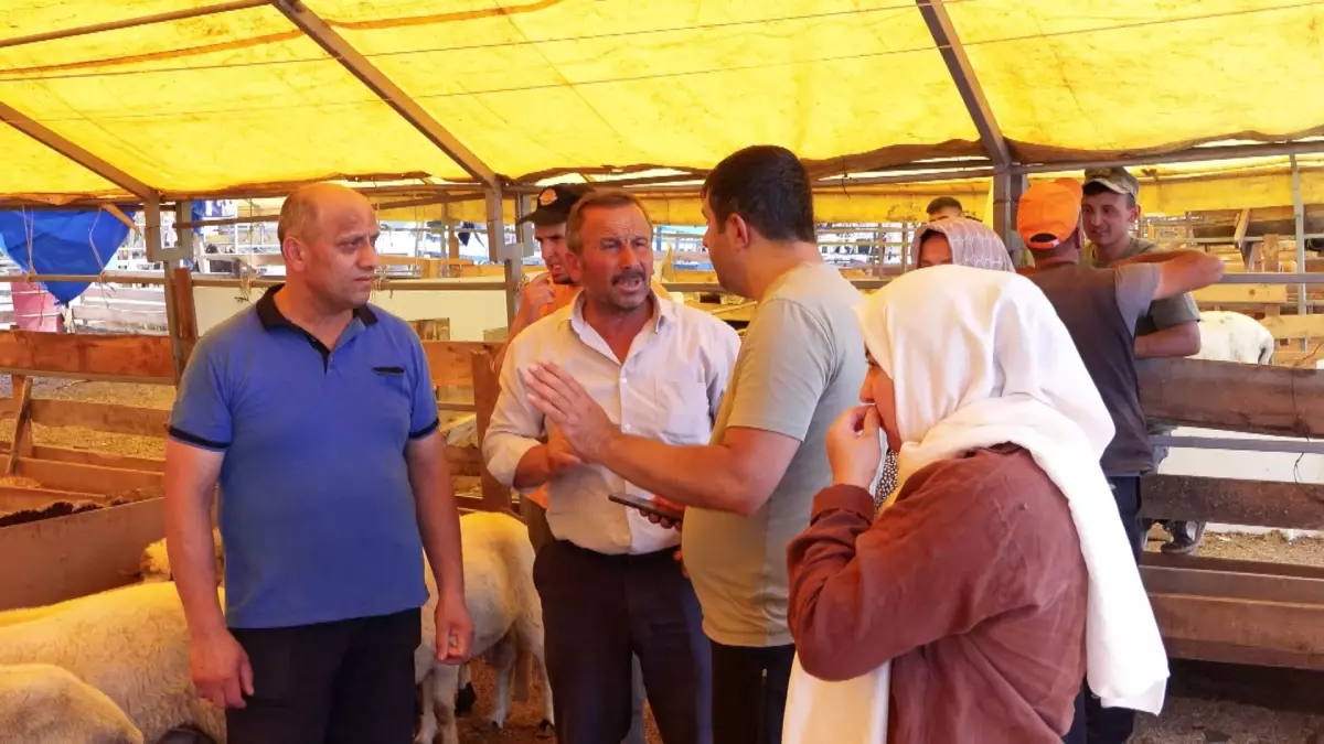 Kurban Pazarında Fiyatlar Düşüyor