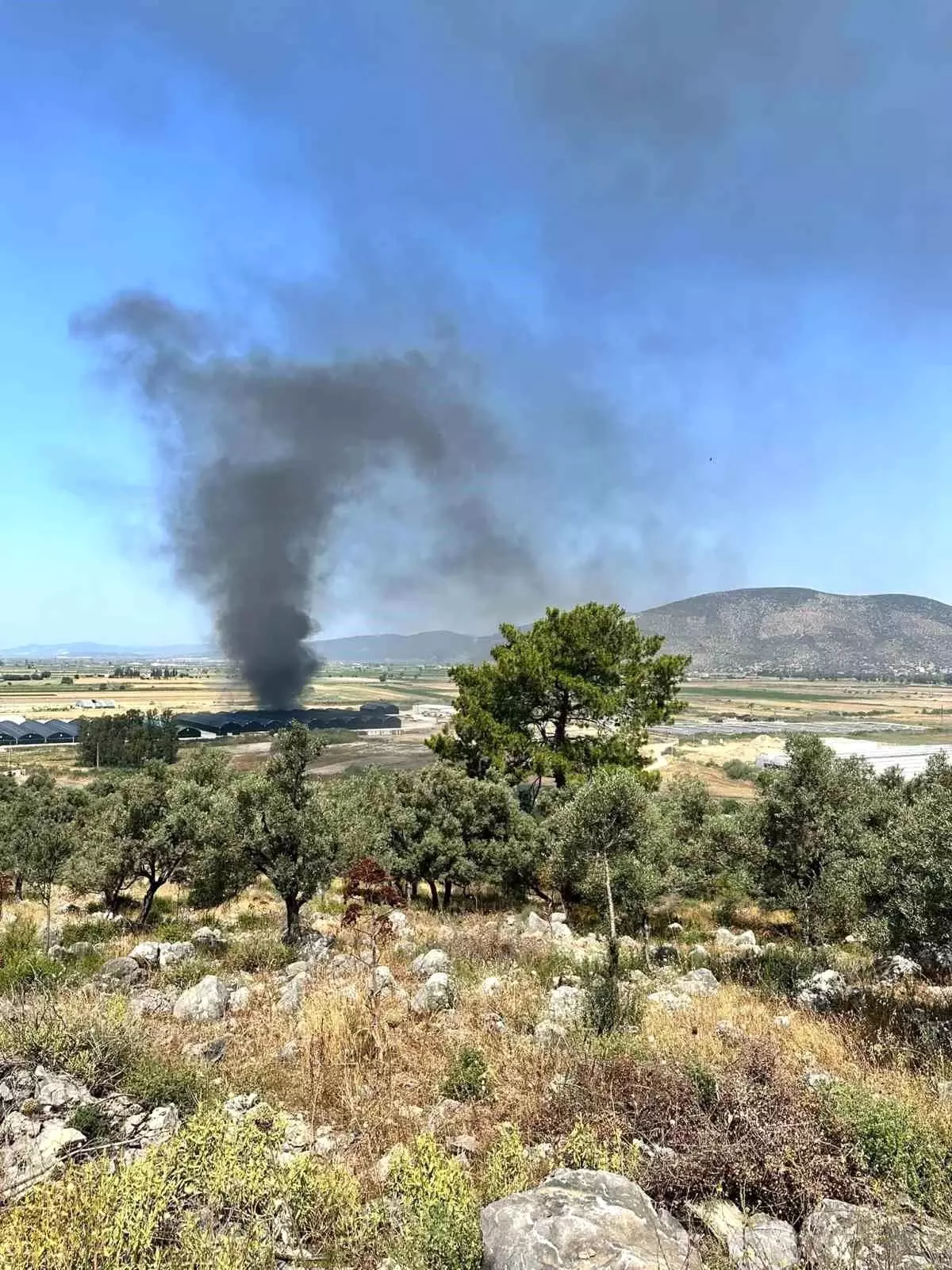 Milas'ta Balık Üretim Tesisinde Yangın Paniği