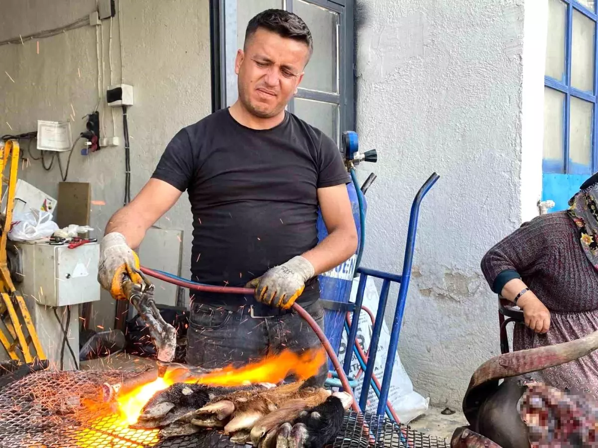Kurban Bayramı'nda Metal Ustaları Kelle Ütme Geleneğini Sürdürüyor