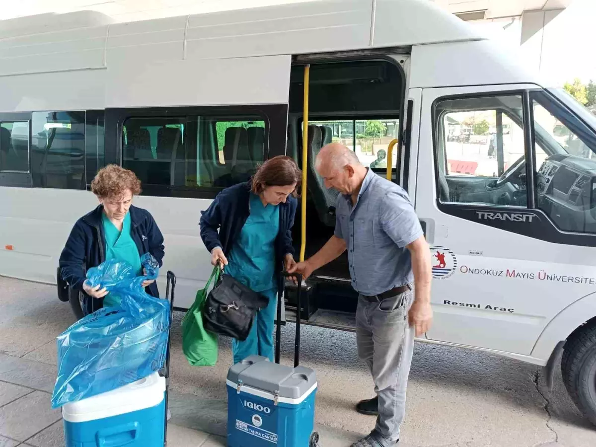 Beyin Ölümü Gerçekleşen Kadının Organları 3 Hastaya Umut Oldu