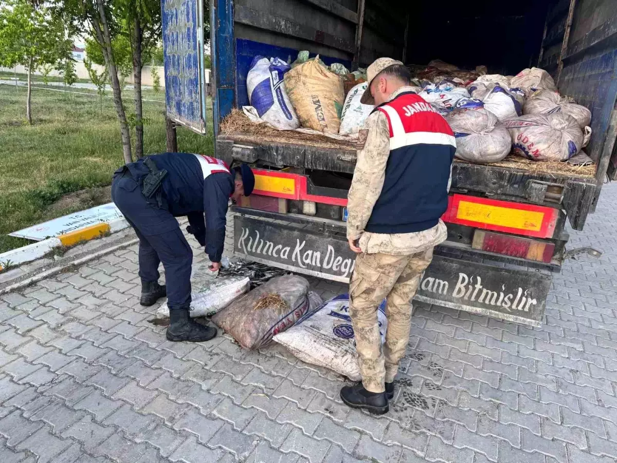 Muradiye'de Kaçak Avlanan 19 Ton İçi Kefali Balığı Ele Geçirildi