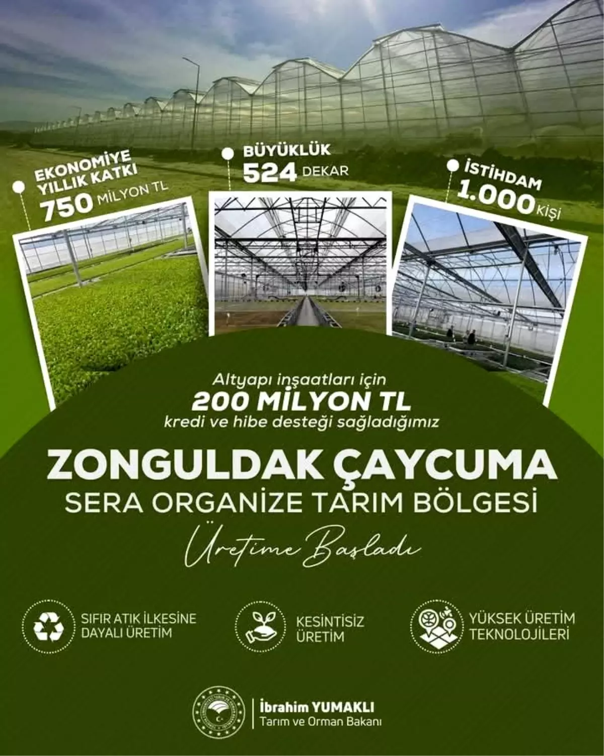 Zonguldak'ta Tarıma Dayalı Sera Organize Tarım Bölgesi Üretime Geçti