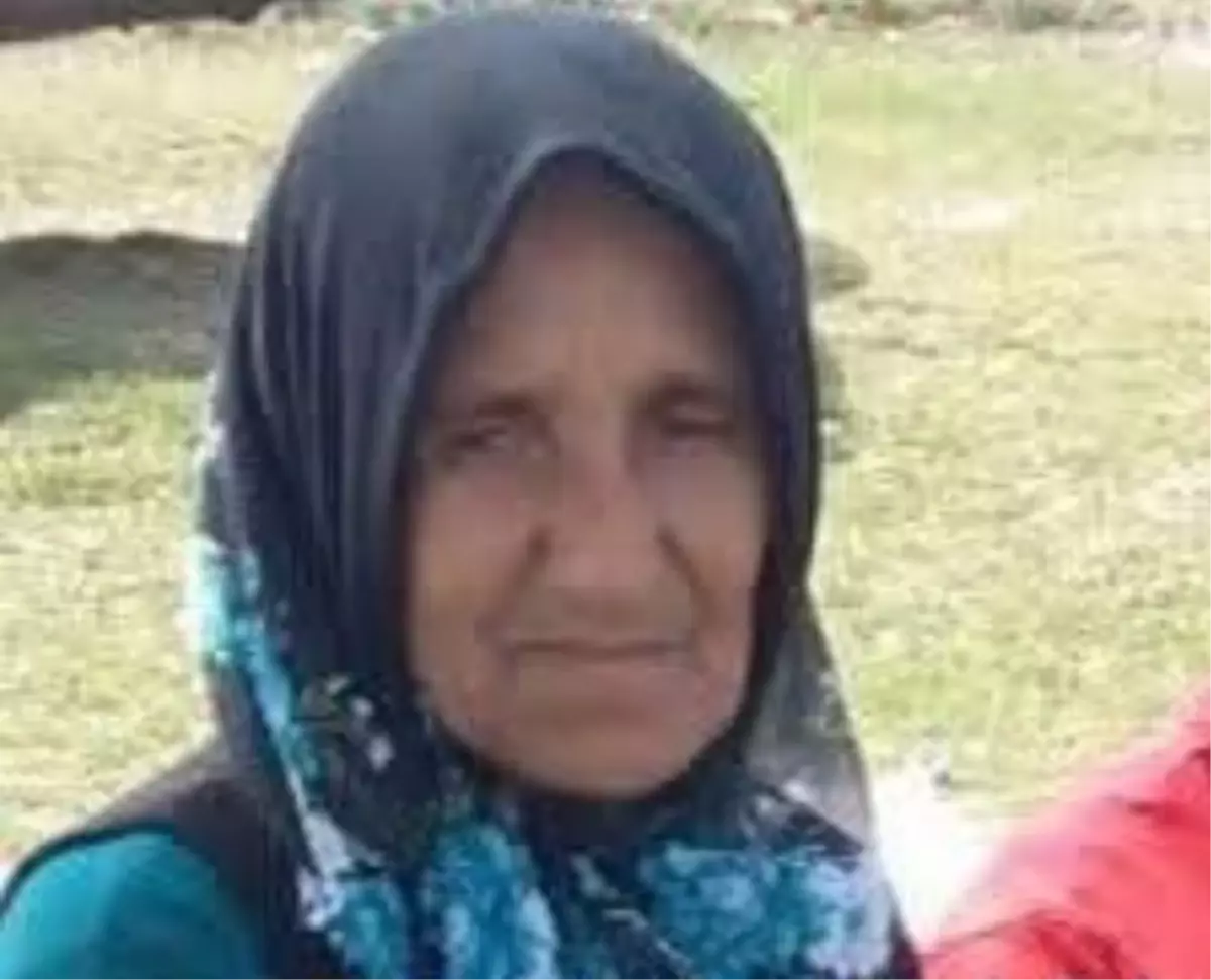 Hafriyat Kamyonu, Yolda Yürüyen Kadına Çarptı: 75 Yaşındaki Gülser Uçan Hayatını Kaybetti
