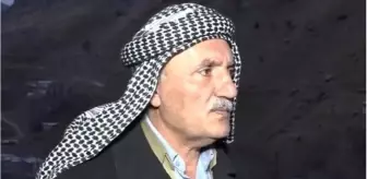 Şırnak'ta yılanın ısırdığı 1 kişi hayatını kaybetti