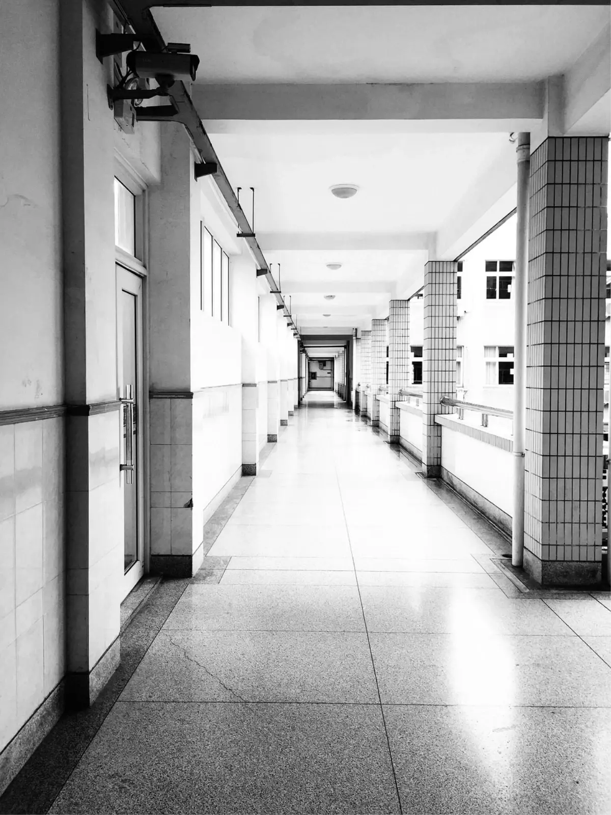 Avusturya'da Lisede Silahlı Saldırı: 10 Ölü