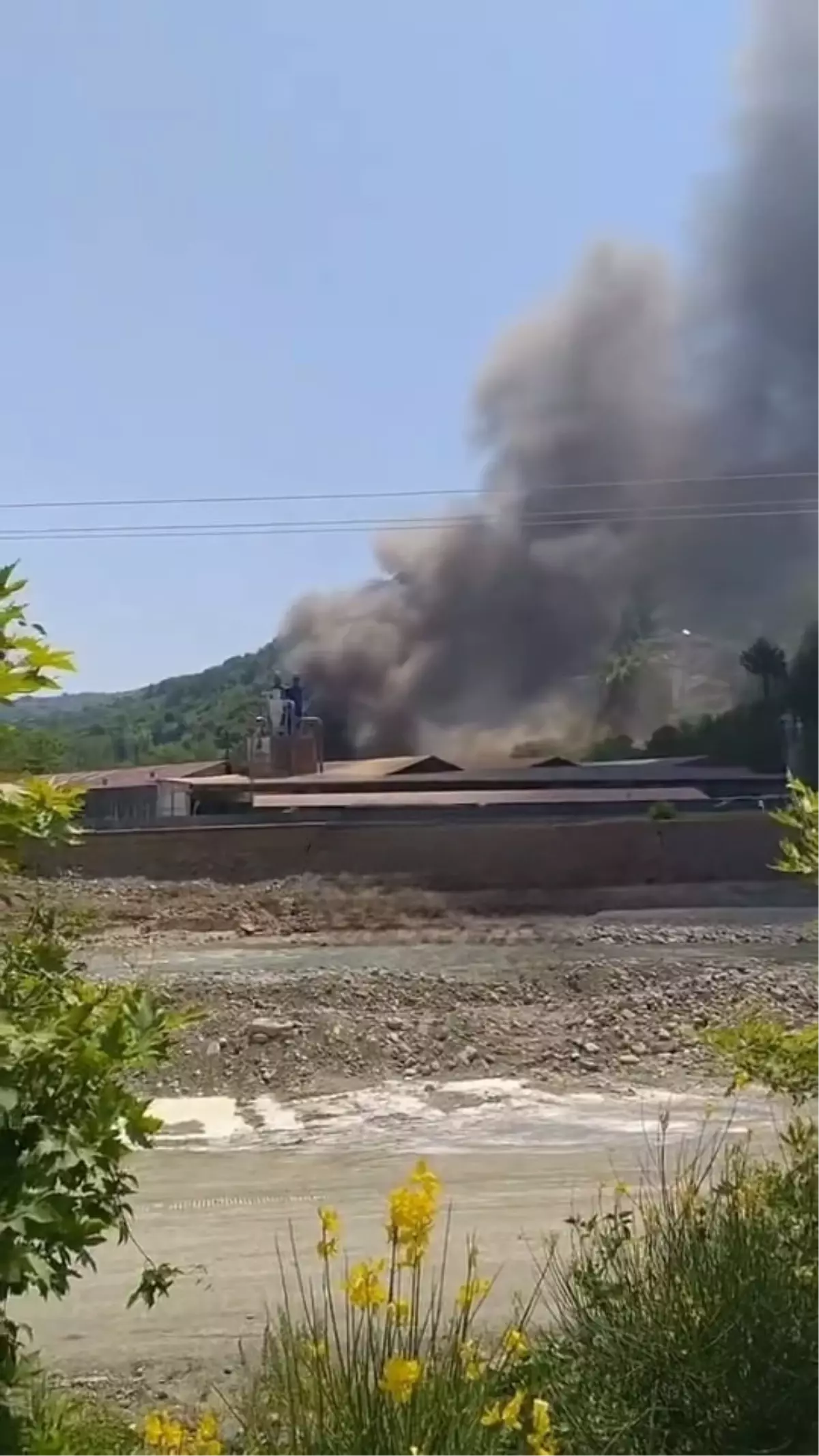 Sinop'ta Kereste Fabrikasında Yangın