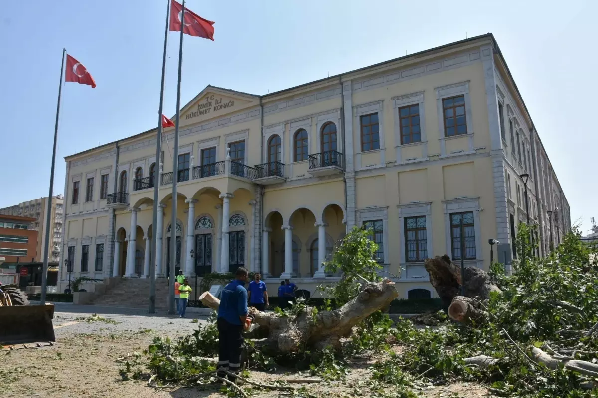 İzmir Valiliği Önündeki Asırlık Çınar Devrildi