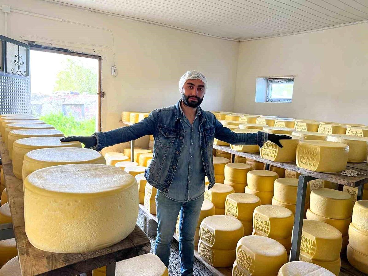 Kars Eski Kaşar Peyniri, Doğal Üretim Süreciyle Sofralarda