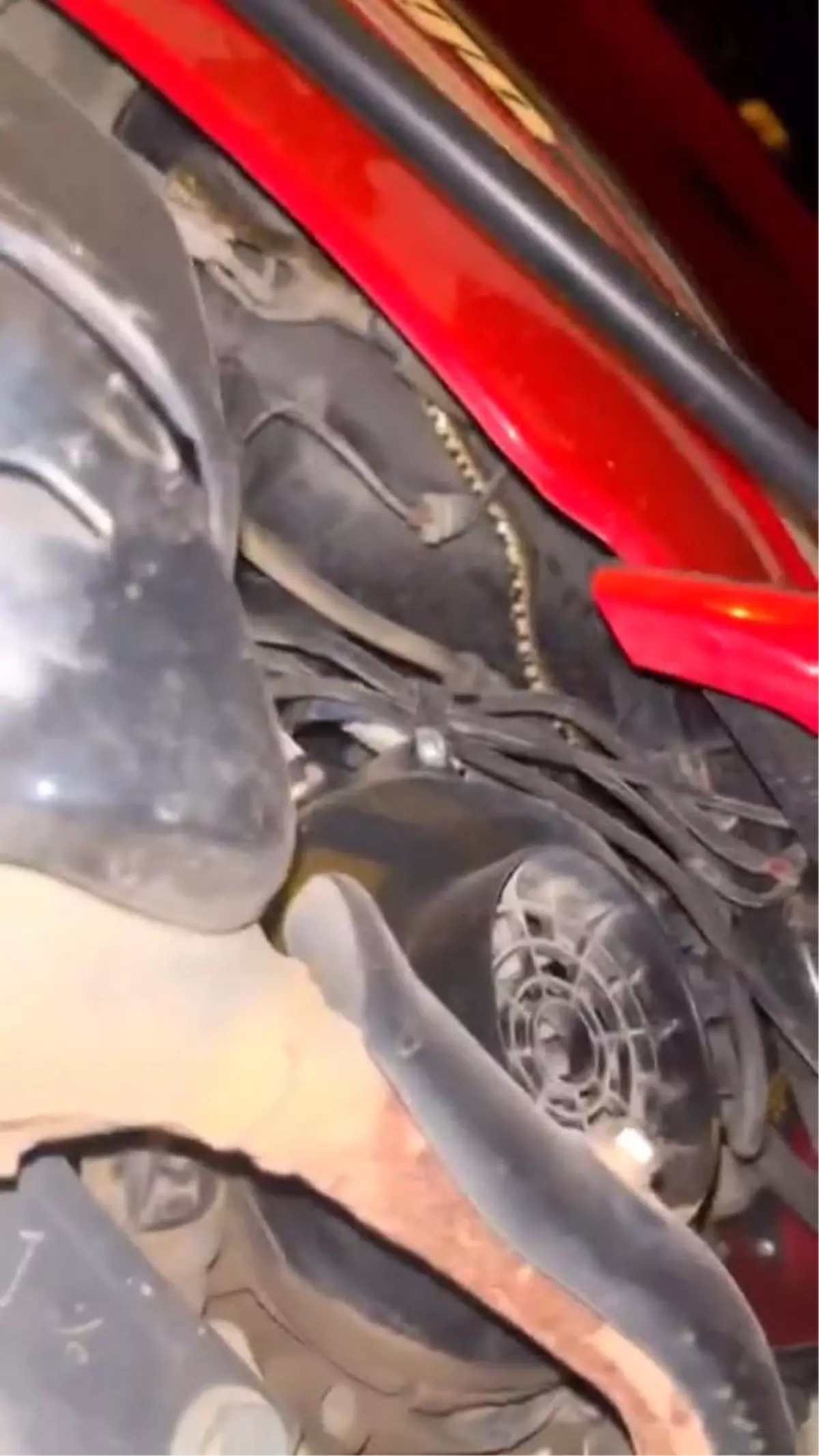 İznik'te Motosikletin İçine Giren Yılan Panic Yarattı
