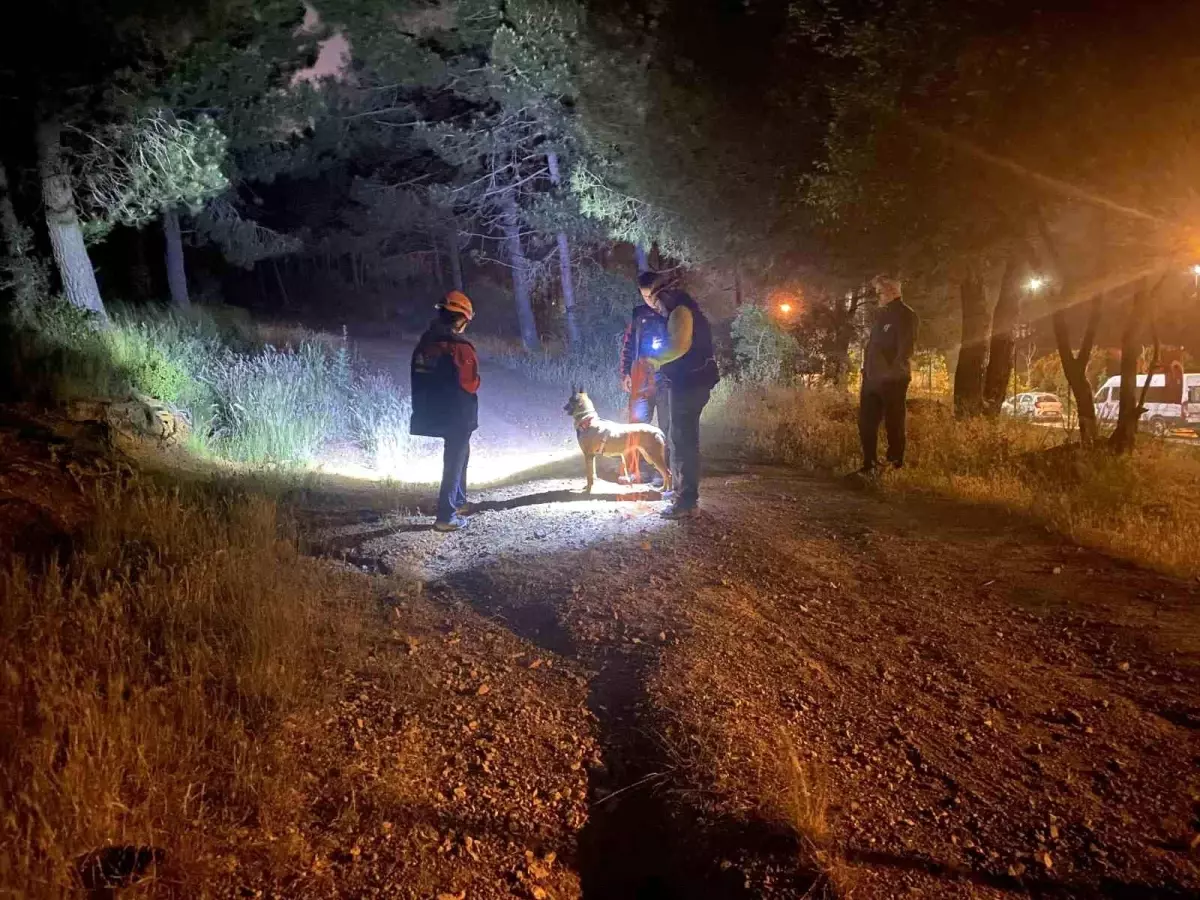 Pendik'te Ormanlık Alanda Kaybolan Şahıs İçin Arama Çalışmaları Başlatıldı