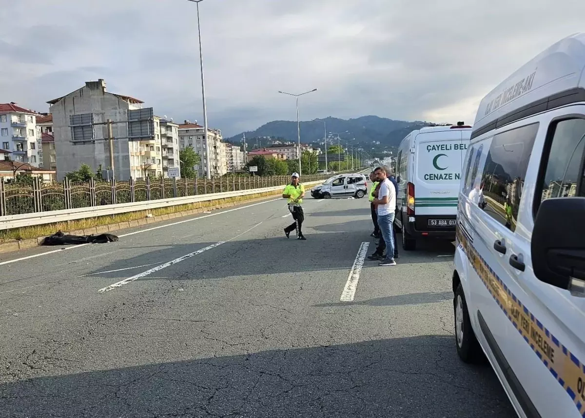 Rize'de Arı Panikle Kazaya Neden Oldu: 2 Ölü