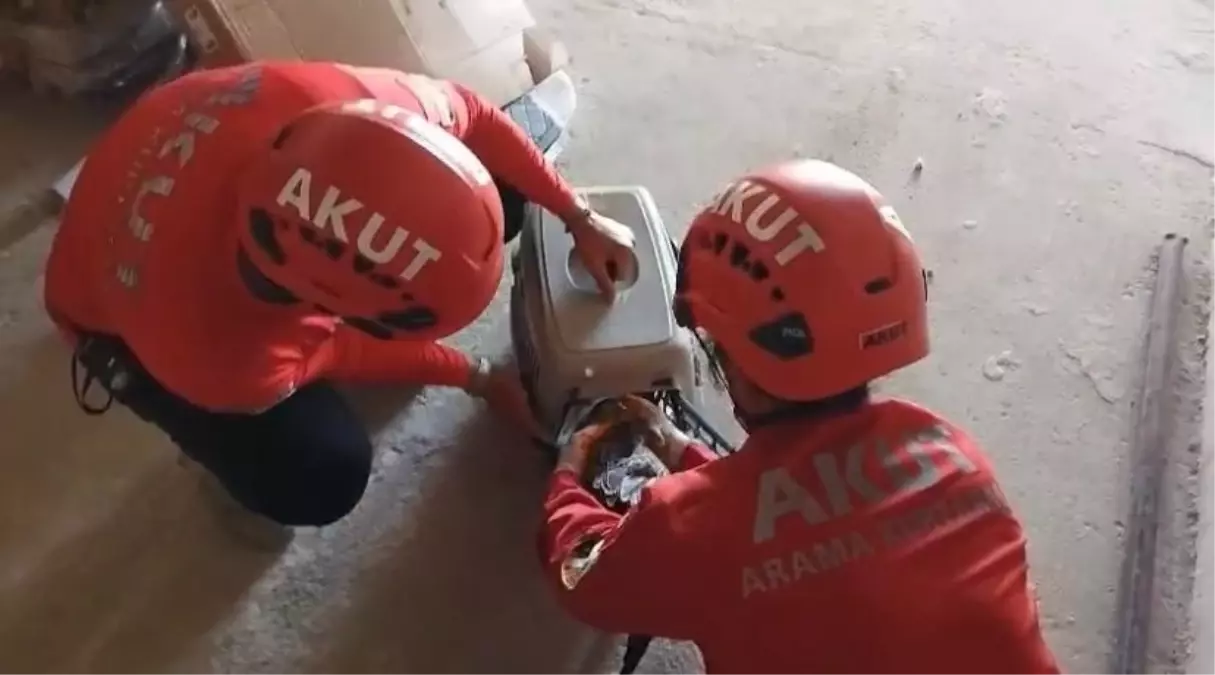 Trabzon'da Mahsur Kalan Martı Kurtarıldı