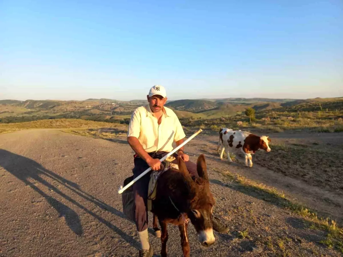Yozgat'ta Besiciler Çoban Bulmakta Zorlanıyor