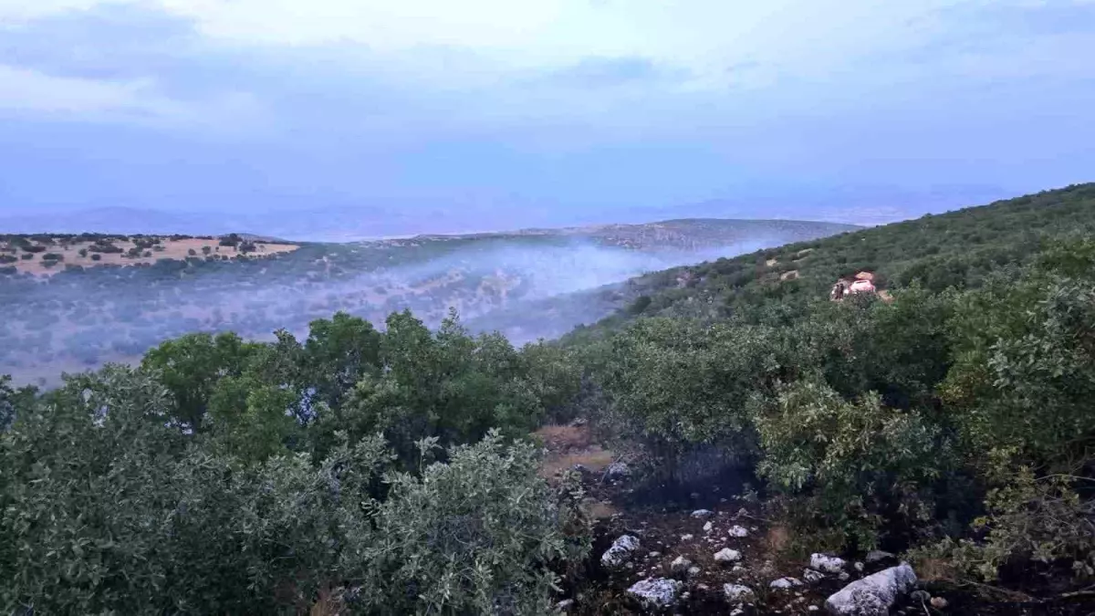 Diyarbakır'da Ortaya Çıkan Örtü Yangını Kontrol Altına Alındı