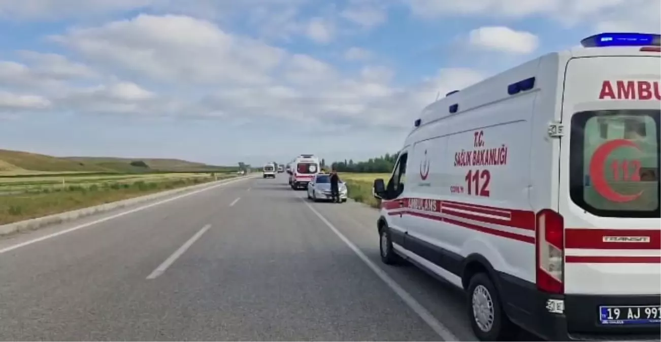 Düğünden Dönüşte Can Pazarı: Minibüs Şarampole Devrildi