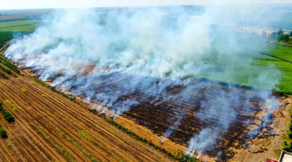 Karacasu'da Anız Yakma Uygulamasına Karşı Ciddi Uyarılar