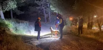 Pendik'te esrarengiz olay! Ormana girdi bir daha haber alınamadı