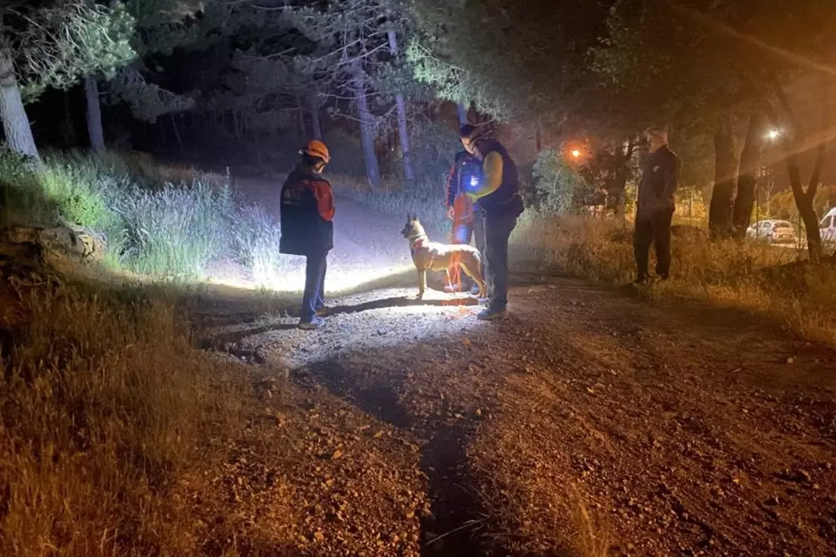 Pendik'te esrarengiz olay! Ormana girdi bir daha haber alınamadı