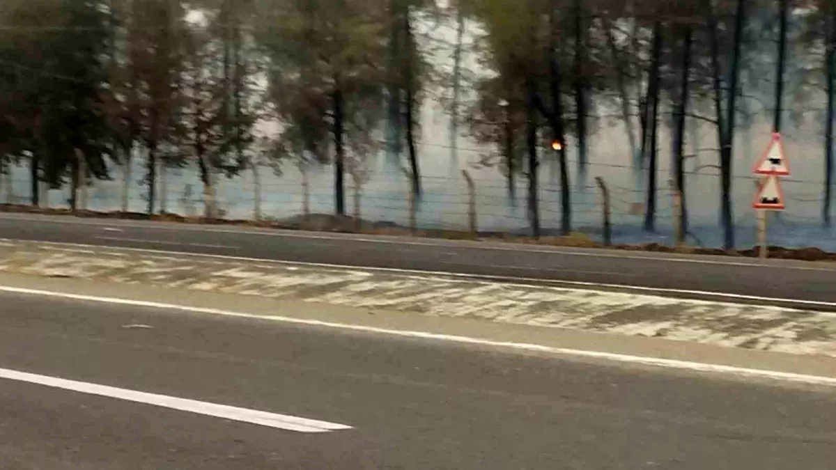 Şanlıurfa'daki Orman Yangını Kontrol Altına Alındı