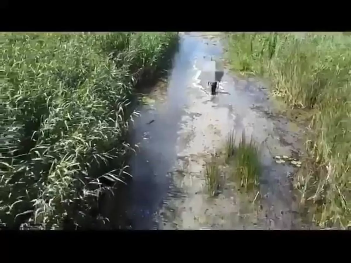 Dron Desteğiyle Kaybolan Sülükçü Kurtarıldı