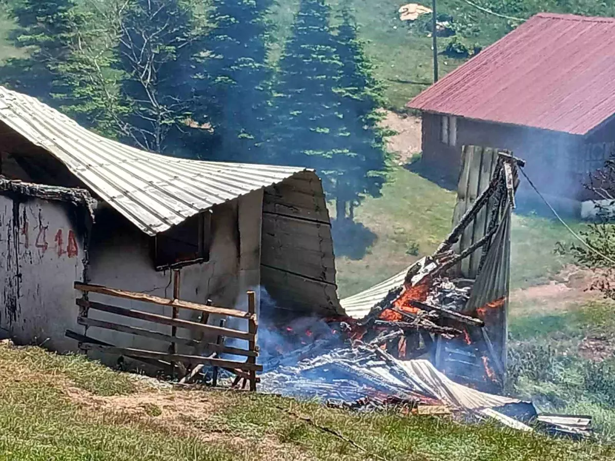 Sakarya'da Yayla Evinde Yangın Çıktı