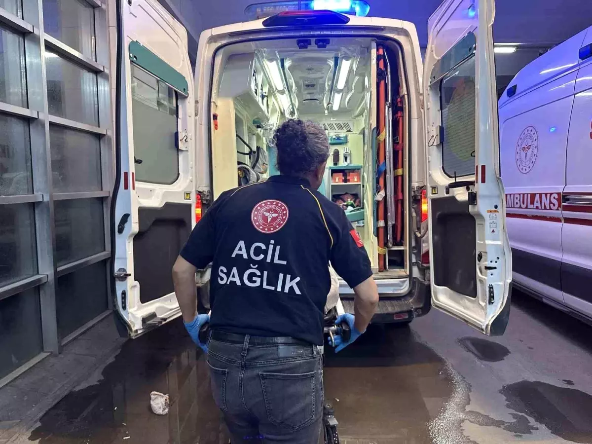 Adıyaman'da Yılan Isırması: Bir Kişi Hastaneye Kaldırıldı