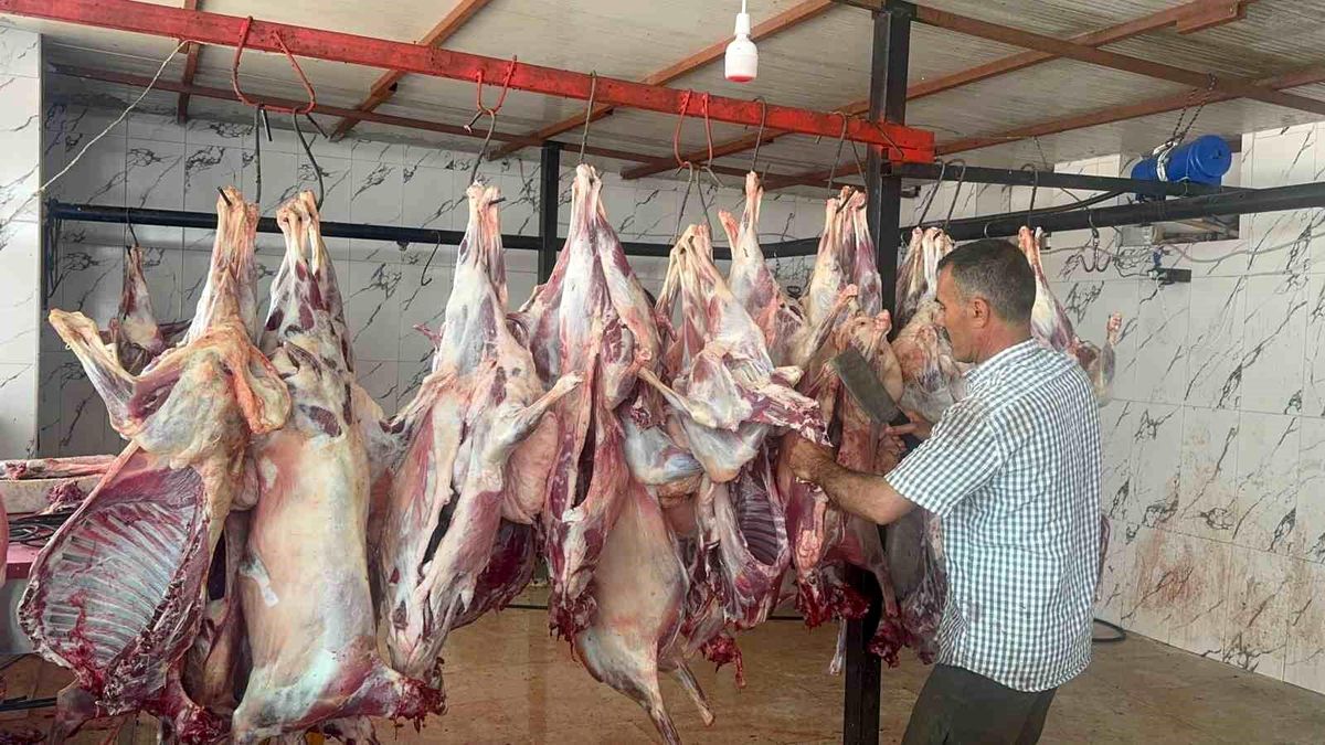 Hayırseverlerden Anlamlı Yardım Kampanyası: 44 Küçükbaş Hayvan İhtiyaç Sahiplerine Ulaştırıldı
