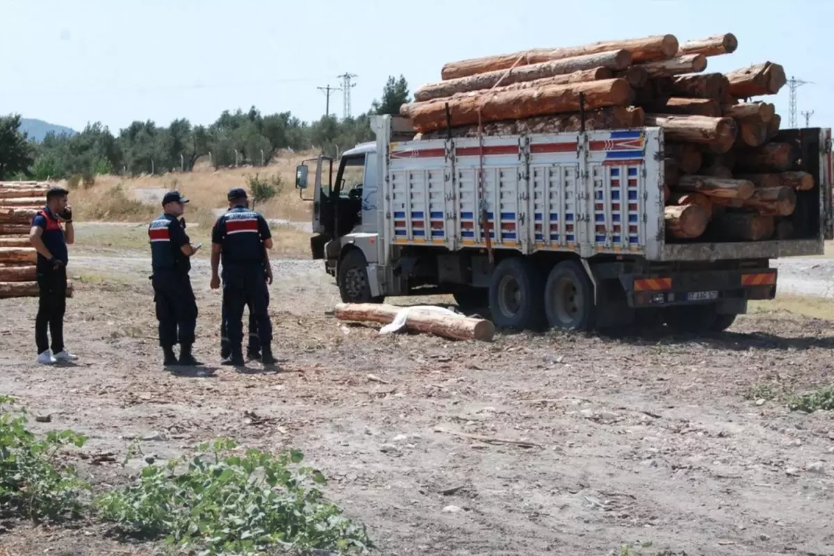 Gümüşhane'de başına tomruk düşen işçi hayatını kaybetti