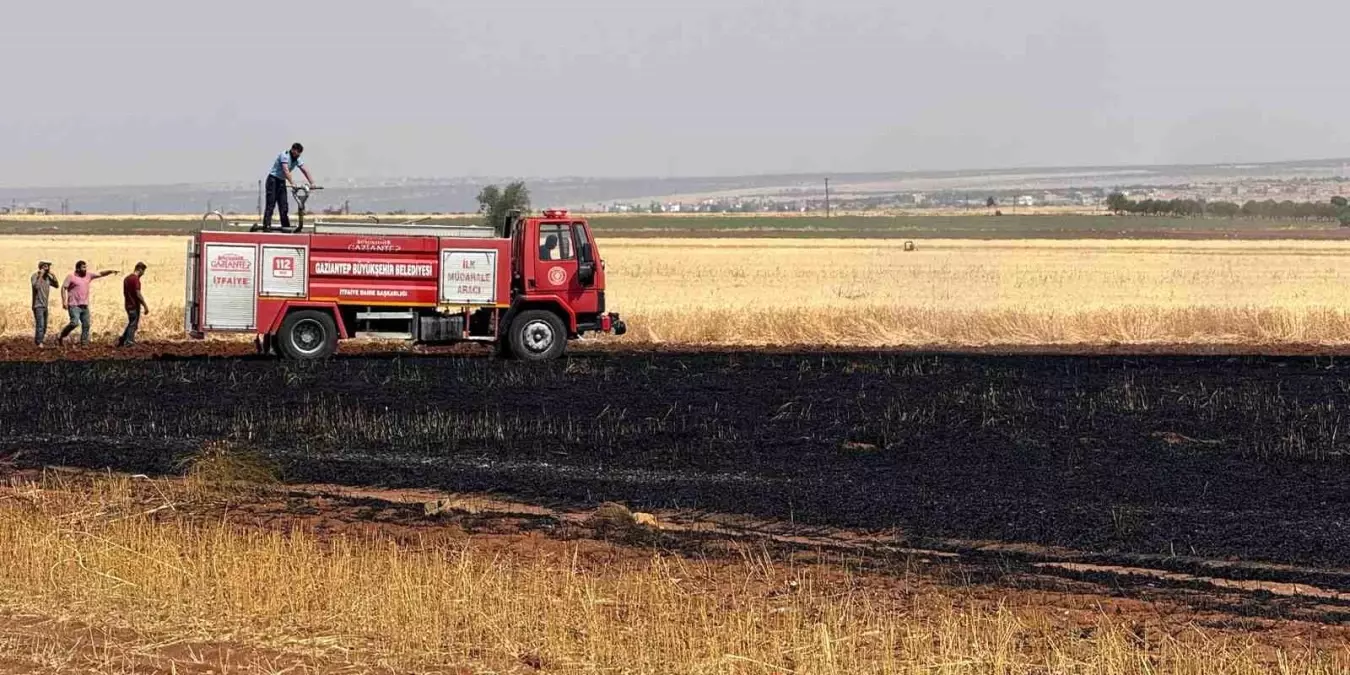 Gaziantep'te Buğday Ekili Alanda Yangın: 15 Dönüm Küle Döndü