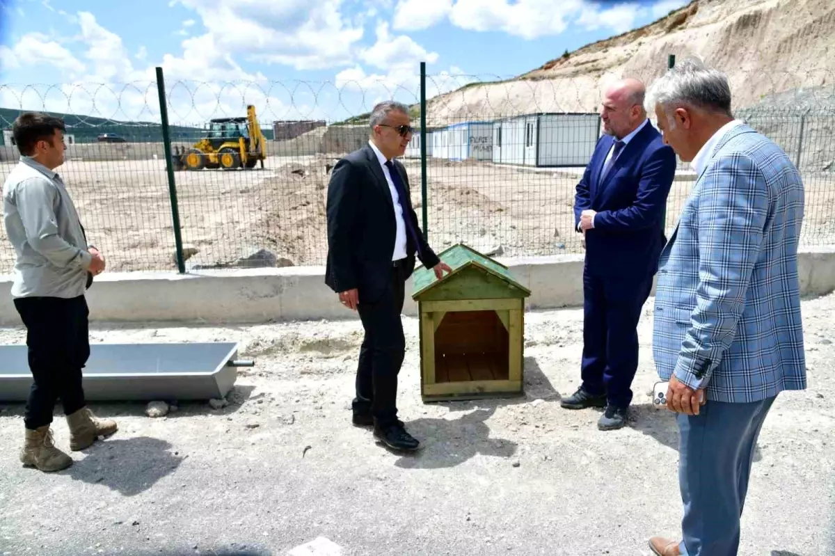 Ardahan'da Sahipsiz Hayvanlar İçin Doğal Yaşam Alanı Açıldı