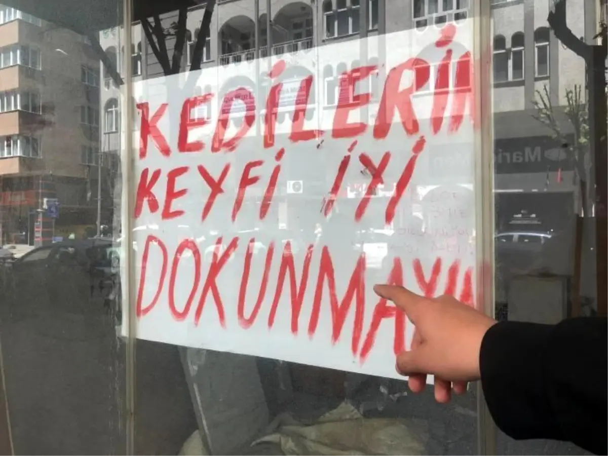Eskişehir'de Kedileriyle Boş Dükkanında İlgili Tartışma