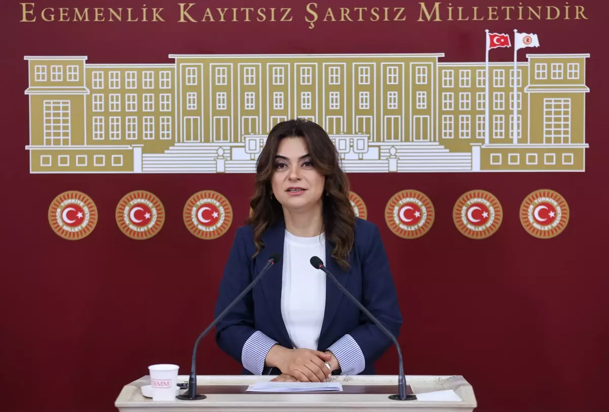 DEM Parti'den İmralı Çağrısı: Tüm Siyasi Partiler Gitsin