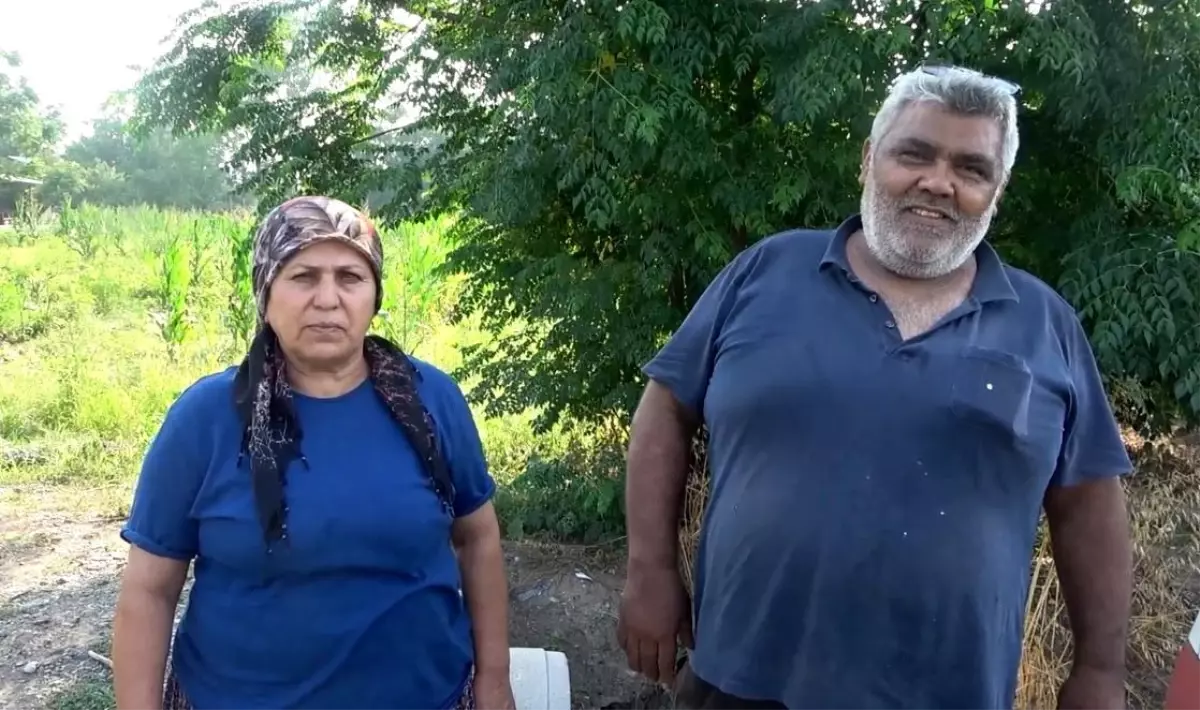 Dursun Yılmaz, Osmaniye'nin İlk Kadın Muhtarı Olmayı Başardı