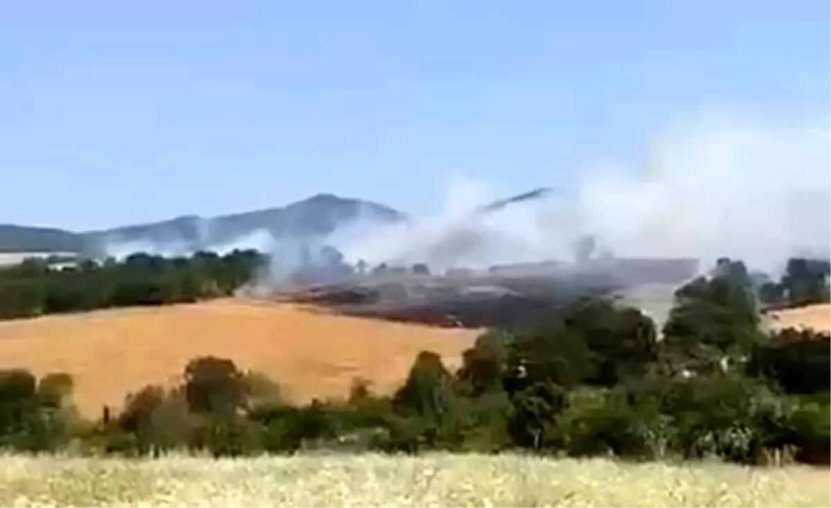Balıkesir'de Buğday Ekili Arazide Yangın Çıktı