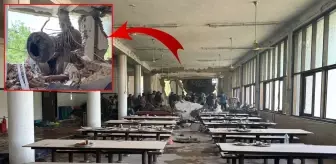 Hindistan'da yolcu uçağı tıp fakültesi yemekhanesine düştü