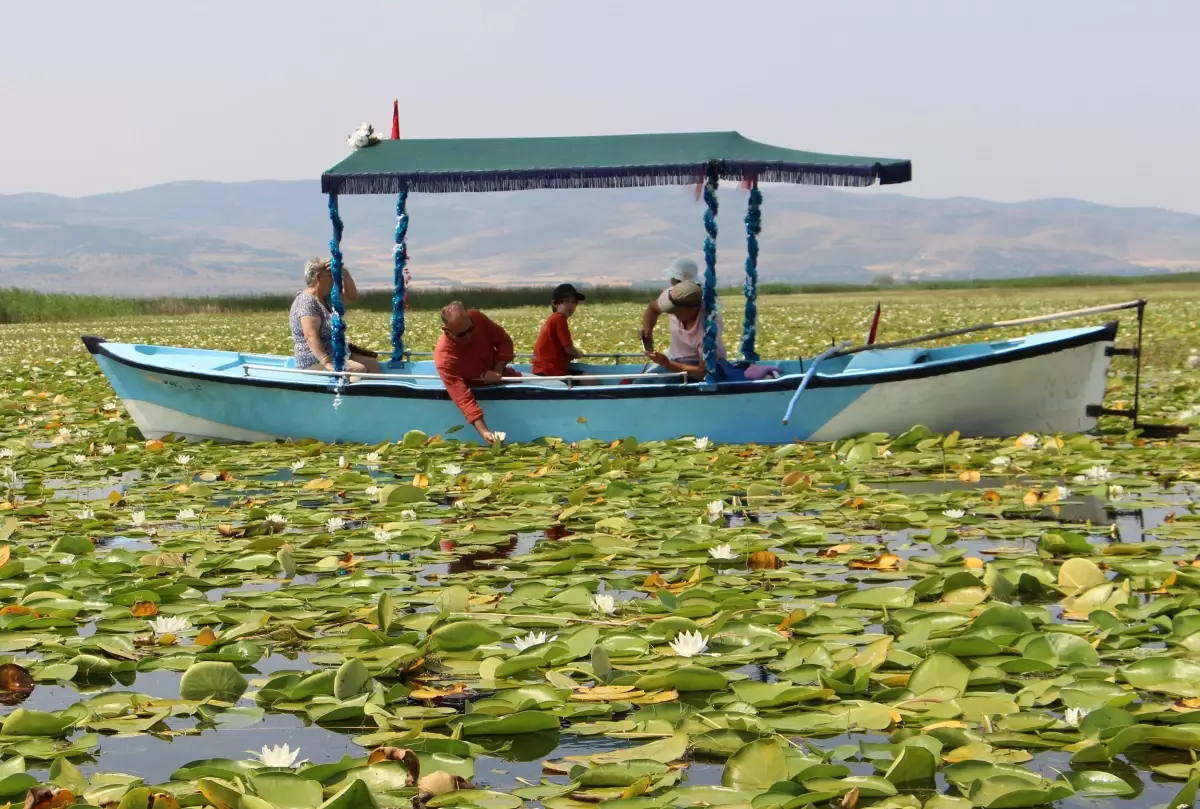 Işıklı Gölü, Tatilcilerin Yeni Gözdesi