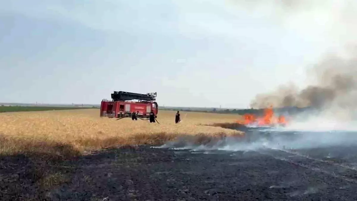 Kırklareli'nde Buğday Tarlasında Yangın: 500 Dekar Zarar