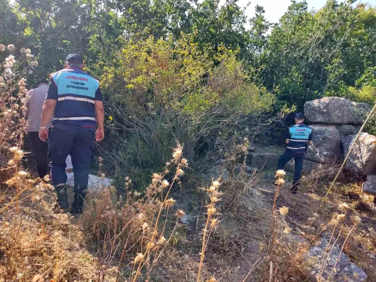 Didim'de Koruma Altındaki İncir İlekleri Toplayan İki Şüpheli Yakalandı