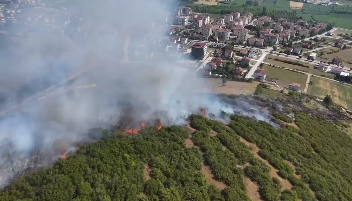 Tokat'ta Makilik Alanda Yangın: 15 Dönüm Zarar Gördü