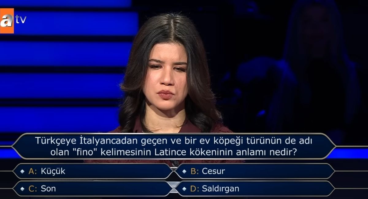 Türkçeye İtalyancadan geçen ve bir ev köpeği türünün de adı olan 'fino' kelimesinin Latince kökeninin anlamı nedir?