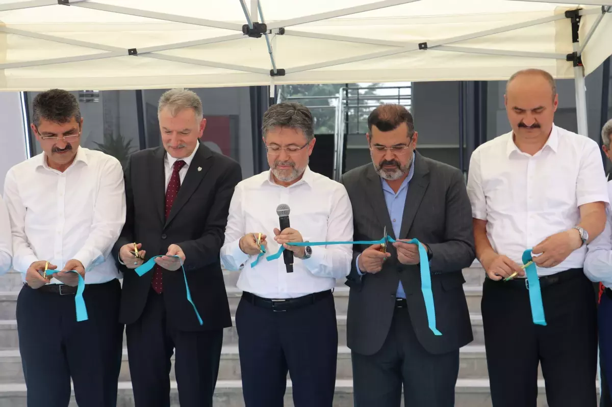 Türkiye'de Hasat Yüzde 5'e Ulaştı