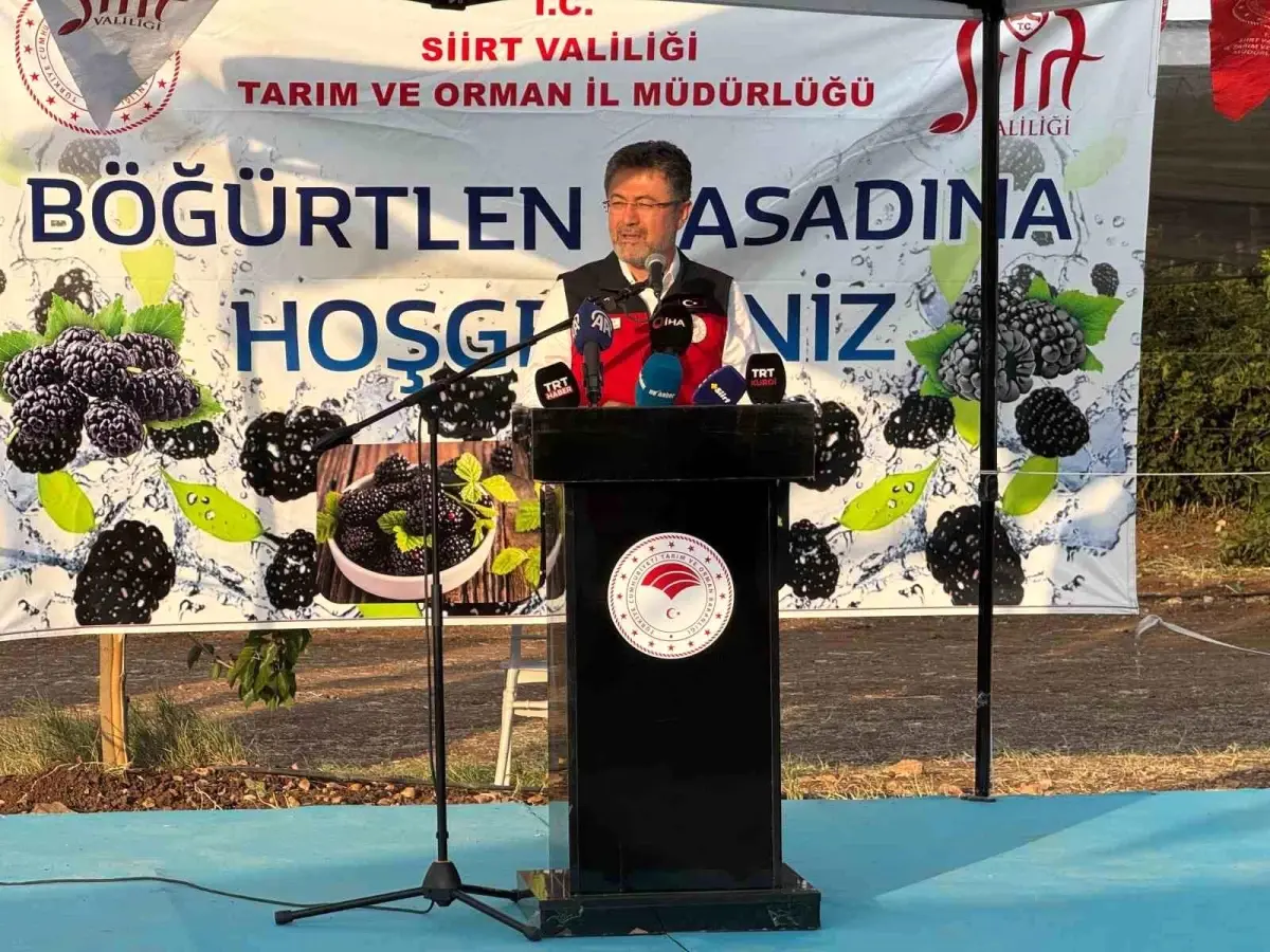 Bakan Yumaklı, Siirt'te Böğürtlen Hasadına Katıldı