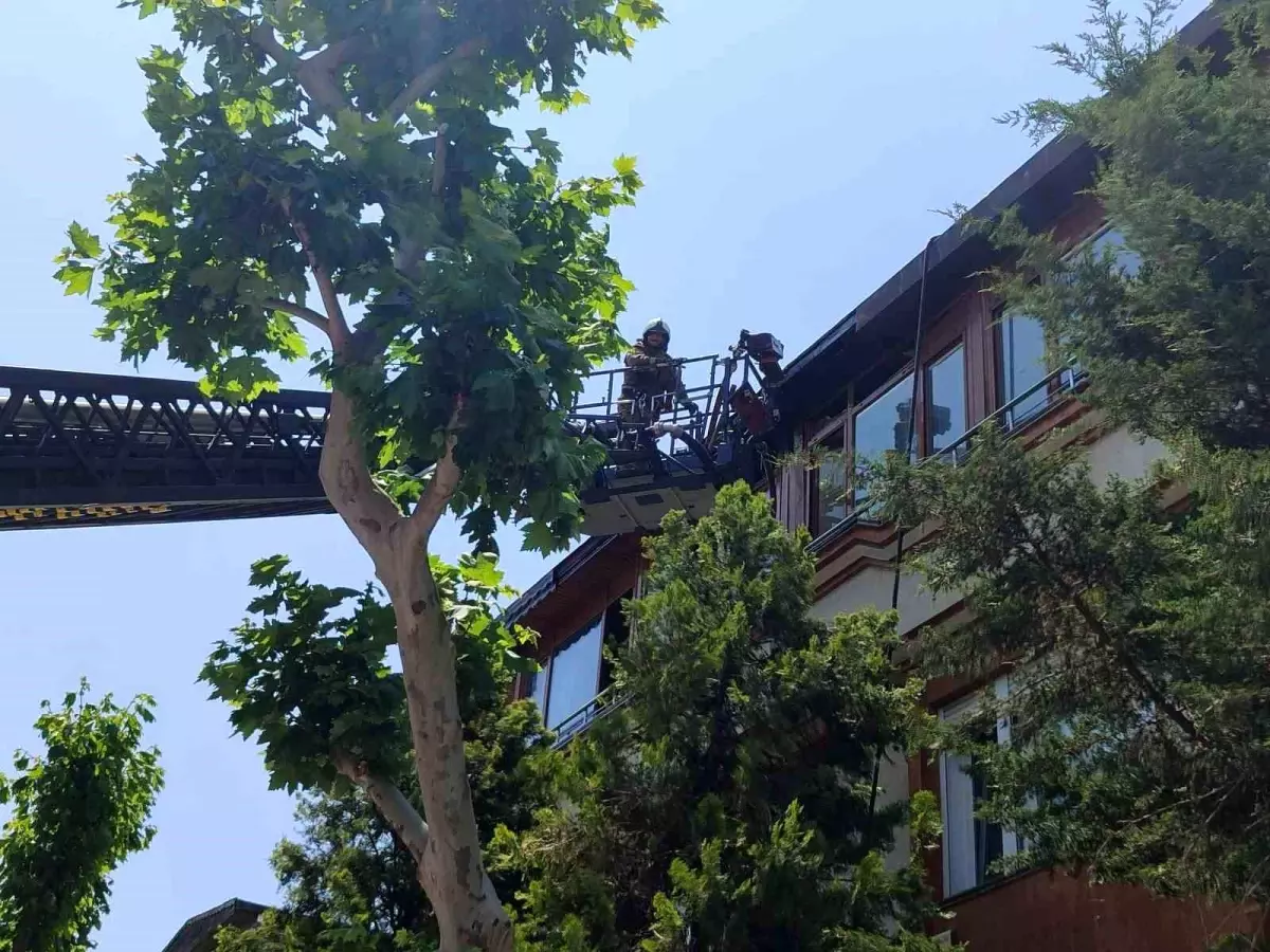Bakırköy'de 3 Katlı Binanın Çatısında Yangın Çıktı